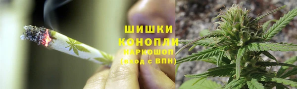 каннабис Беломорск